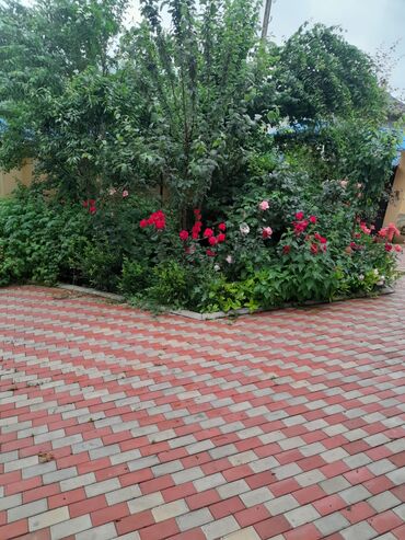 Bağ evlərinin kirayəsi: 300 kv. m, 8 otaq, Hovuzsuz, Kanalizasiya, Su, Qaz — 4