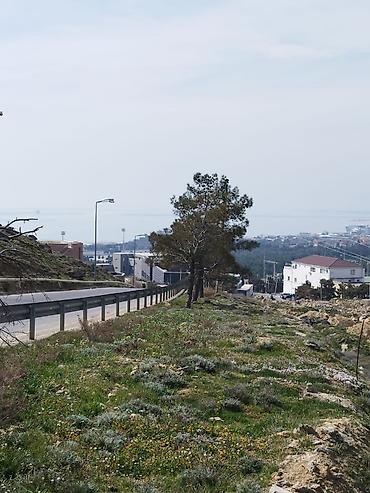 salyan: 12 sot, Tikinti, Mülkiyyətçi, Kupça (Çıxarış) — 4