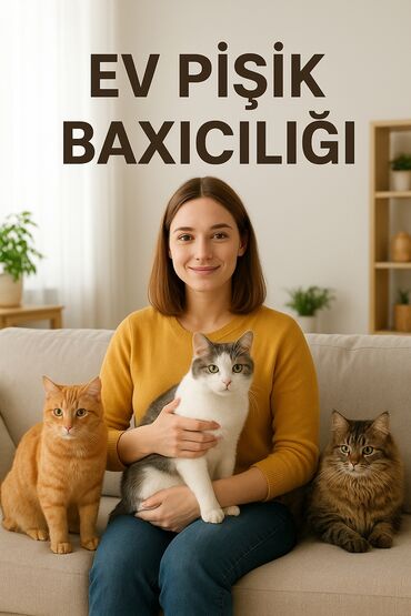 наращивание волос в баку цены: 🐾 Evdə pişik baxıcılığı – sevgi və qayğı ilə! 🏡 Səyahətə gedirsən və at lalafo.az наращивание волос в баку цены: 🐾 Evdə pişik baxıcılığı – sevgi və qayğı ilə! 🏡 Səyahətə gedirsən və