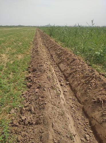 Арычники: Арычник новый на любой трактор — 6