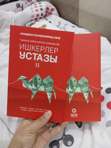 журналы: Продаются книги про бизнес китептер сатылат арзан баада,жетишип