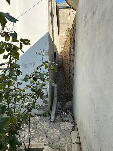 kurdexanıda evlər: 4 otaqlı, 120 kv. m, Kredit yoxdur, Yeni təmirli — 6