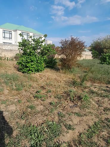 Torpaq sahələrinin satışı: 10 sot, Tikinti, Mülkiyyətçi, Kupça (Çıxarış) — 10