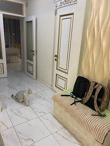 Долгосрочная аренда квартир: 3 комнаты, Риэлтор, Без подселения, С мебелью полностью — 15