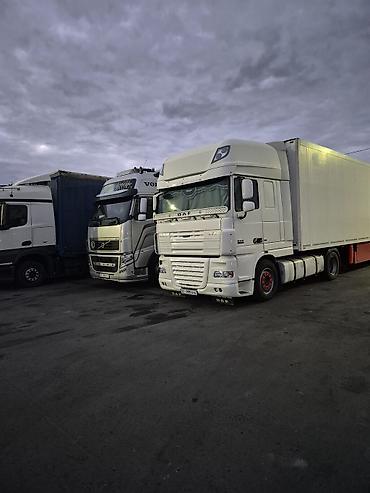 Тягачи: Тягач, DAF, 2008 г., Холодильник, рефрижератор at lalafo.kg — 1 Тягачи: Тягач, DAF, 2008 г., Холодильник, рефрижератор — 1