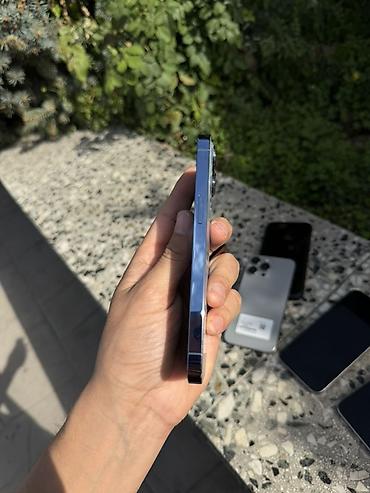 Apple iPhone: IPhone 13 Pro, цвет Sierra Blue - Память: 256 ГБ (указано на стикере) — 3