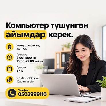 полевые работы: Офис-менеджер — 1