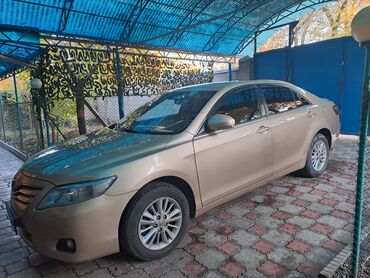 тойота жип: Toyota Camry: 2009 г., 2.4 л, Автомат, Бензин, Седан