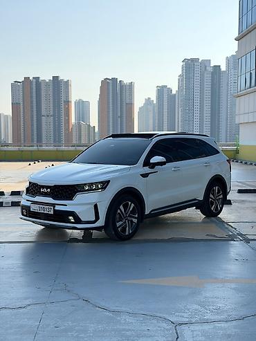 Kia Sorento: 2022 г., 1.6 л, Автомат, Гибрид, Кроссовер