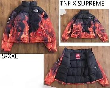 Zimske jakne: THE NORTH FACE, TOP SPORTSKE JAKNE, 2025-26 | Novo! ! ! Hit. Hit — 19