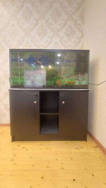 akvarium matoru: Dördbucaq akvarium, Boş, 175 l, Ünvandan götürmə