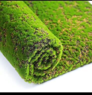 Digər bitkilər: Məhsul: Təbiətvi̇ zolaqlı yosun/mahov örtüyü – hazır plitələr Təsvir — 11