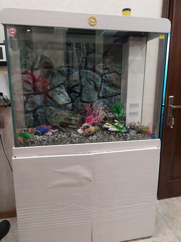 Akvariumlar: Akvarium-şkaf, Boş, 247 l, Ünvandan götürmə