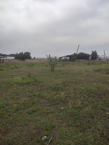 60 соток, Для бизнеса — 5