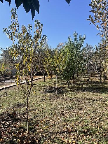 Продажа коттеджей и домов: Продается теплый, уютный дом из 5 комнат с санузлом. Участок 9 соток — 16