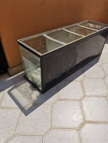 Akvariumlar: Akvarium 
3 eded 
100 manat 140x45
50 manat 
50 manat 140x40