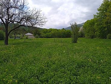 torpaq mingecevir: Quba rayonu, Xanəgah kəndində, İstisu turizm istirahət mərkəzi — 3