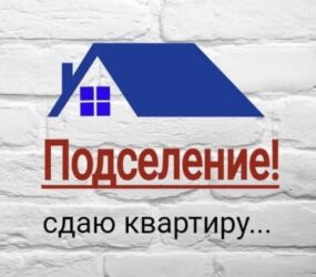 долгосрочная аренда квартир кызыл аскер: ИЩЕМ ДЕВУШКУ С ПОДСЕЛЕНИЕМ!С оплатой 19.500!Район 8 микрорайона!Все at lalafo.kg долгосрочная аренда квартир кызыл аскер: ИЩЕМ ДЕВУШКУ С ПОДСЕЛЕНИЕМ!С оплатой 19.500!Район 8 микрорайона!Все