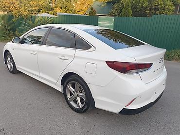 аксен: Hyundai Sonata: 2022 г., 2 л, Автомат, Газ, Седан — 8