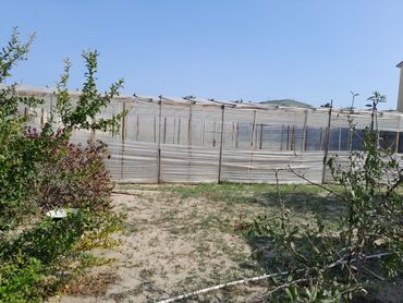 Torpaq sahələrinin satışı: Kənd təsərrüfatı — 6