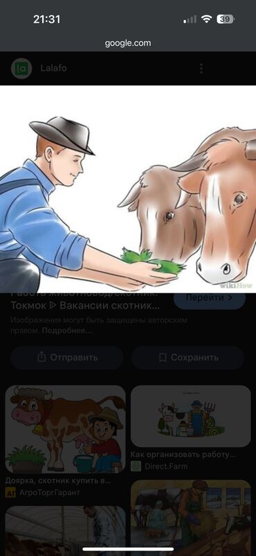 место в салоне: Требуется Скотник, Оплата Ежемесячно