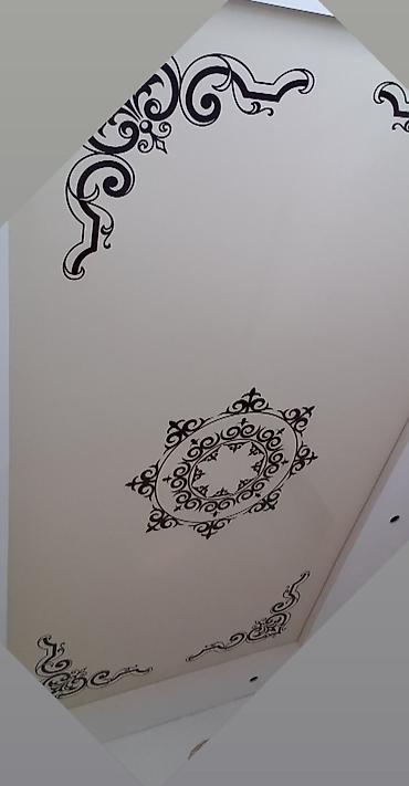 Натяжной потолок: Натяжной потолок Глянцевое, Матовое, 3D потолки — 8