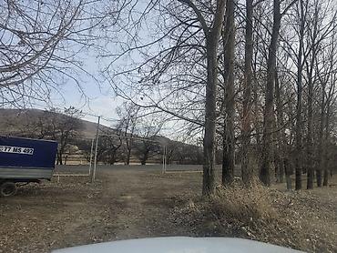 Torpaq sahələrinin satışı: 12 sot, Tikinti, Mülkiyyətçi, Kupça (Çıxarış) — 1