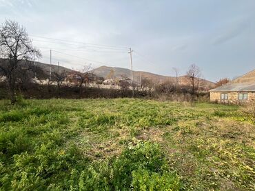 Torpaq sahələrinin satışı: 20 sot, Kupça (Çıxarış) — 2