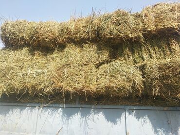 купить измельчитель травы и сена: Сено в тюках. 70тук - Тип: луговое/злаково-бобовое сено, прессованное