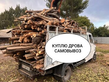 Дрова: СКУПКА ДРОВ с САМОВЫВОЗОМ - Покупаем дрова любых пород и размеров