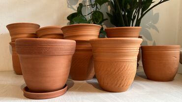 декор растения: Глиняные горшочки в ассортименте, разные формы и размеры. Новые и бэу