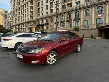 toyota camry solara: Toyota Camry: 2003 г., 2.4 л, Автомат, Бензин, Седан