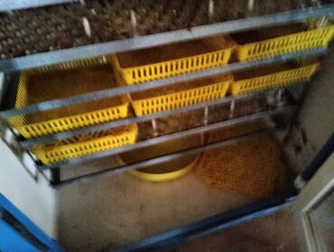 İnkubatorlar: İran, Tam avtomat — 6