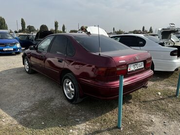 авто гаражное хранение: Honda Accord: 1994 г., 2 л, Бензин, Седан