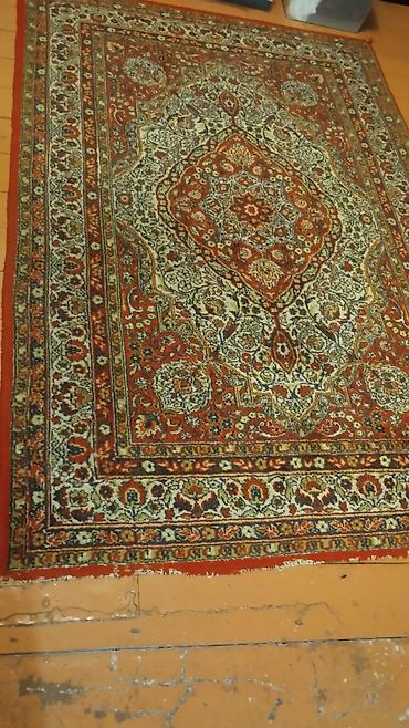 Ковры и паласы: Ковры шерстяные, в наличии 2 шт размер: 220*145 и 240*160 Цена — 4