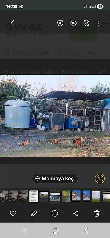 desler: Sənaye tipli istixana kompleksi - Bir neçə ədəd böyükölçülü, tağlı — 4