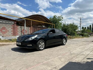 Hyundai: Hyundai Sonata: 2010 г., 2 л, Типтроник, Газ, Седан