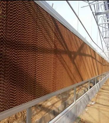 corniy pol: Quşçuluq fermaları üçün soyuducu pad 1500×600x100 mm 1500×600x150mm — 6