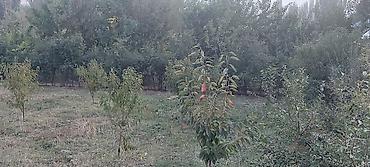 Продажа участков: 30 соток at lalafo.kg — 6 Продажа участков: 30 соток — 6