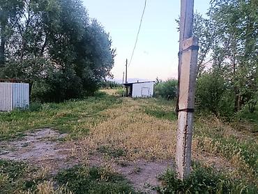 Кыймылсыз мүлк: Мүйүздүү бодо мал фермасы, 1500 соток, Жарым-жартылай жабдуулары менен, Электр энергиясы — 7