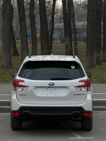 Subaru: Subaru Forester: 2022 г., 2.5 л, Автомат, Бензин, Кроссовер — 10