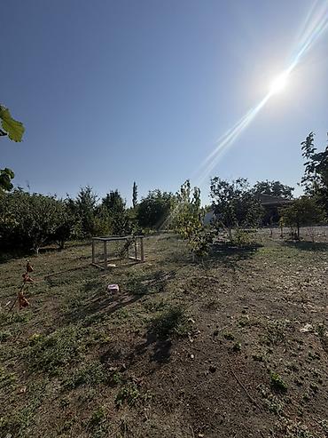 Torpaq sahələrinin satışı: 25 sot, Tikinti, Mülkiyyətçi, Kupça (Çıxarış) — 12