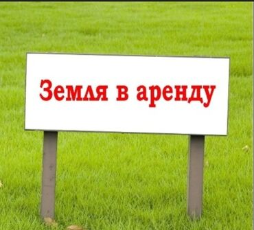 куплю участок в бишкеке недорого: Сдаётся участок 10 соток в с. Кок-Жар — под «тихий» бизнес Локация