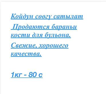 ечки кой: Продаю | Баран (самец) — 1