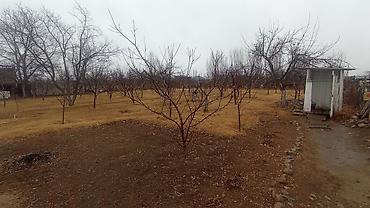 Продажа участков: 25 соток — 10