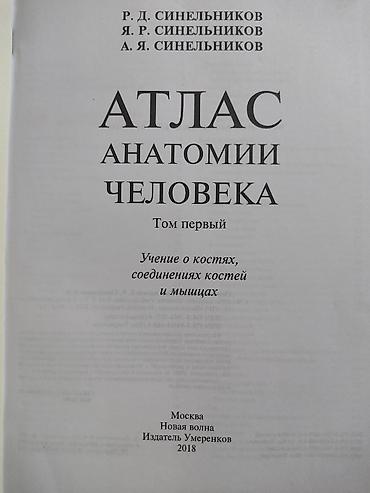 Медицина: Атлас Анатомии Человека Синельникова Цена за все 4 тома Продажа до — 2