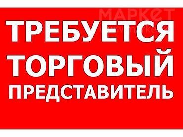 Требуется Торговый агент, График: Шестидневка, 1-2 года опыта, Оплачиваемый отпуск, Полный рабочий день
