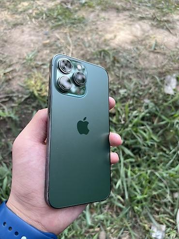 IPhone 13 Pro, Б/у, 256 ГБ, Alpine Green, Чехол, 76 %