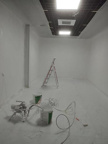 Покраска: Покраска стен, Покраска потолков, Покраска окон, На масляной основе, На водной основе, Больше 6 лет опыта — 2