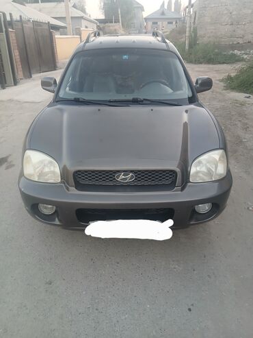 полик 5 д: Hyundai Santa Fe: 2003 г., 2 л, Автомат, Дизель, Жол тандабас